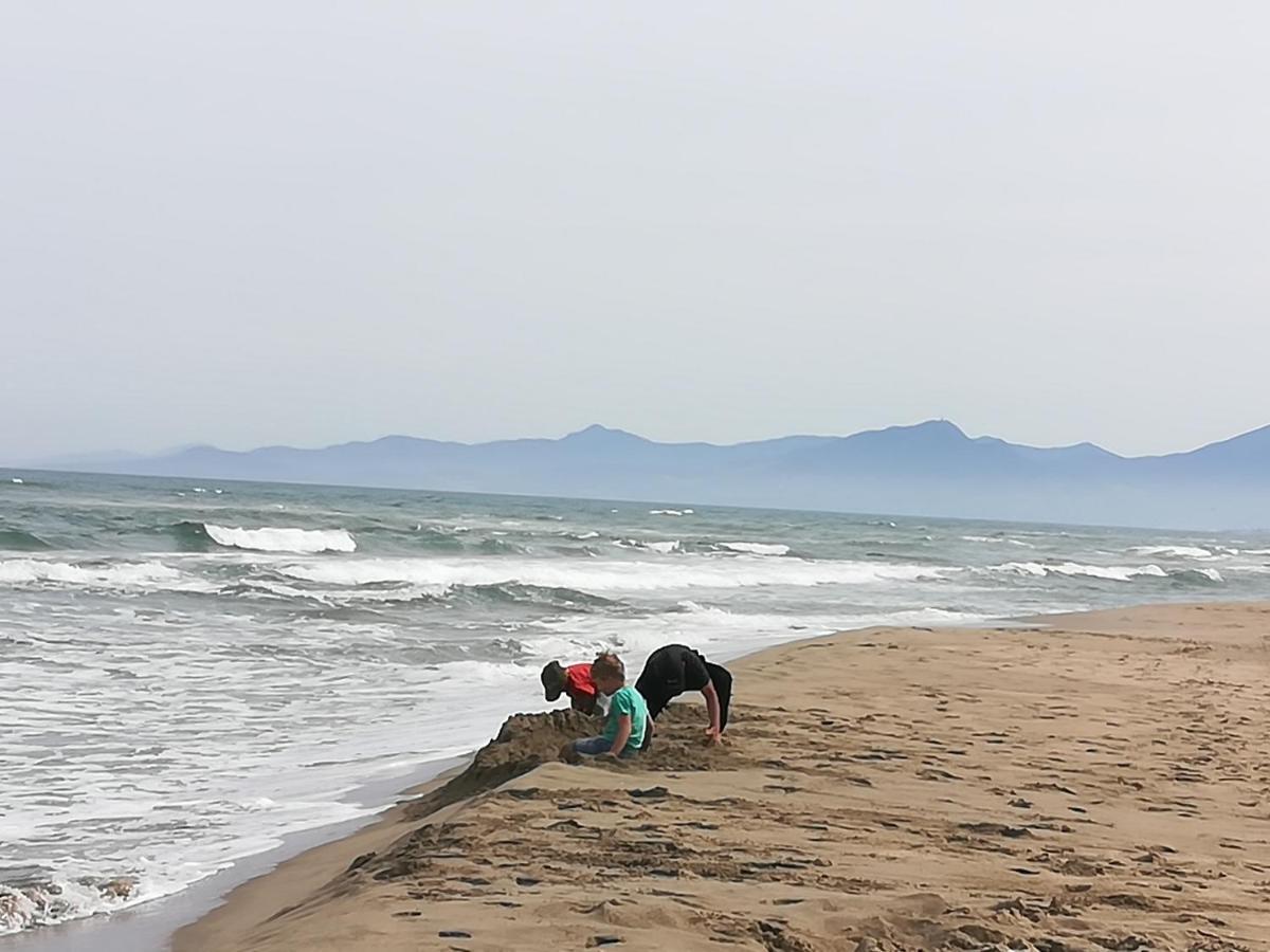 Agreable Studio 50M De La Plage Canet-en-Roussillon Dış mekan fotoğraf