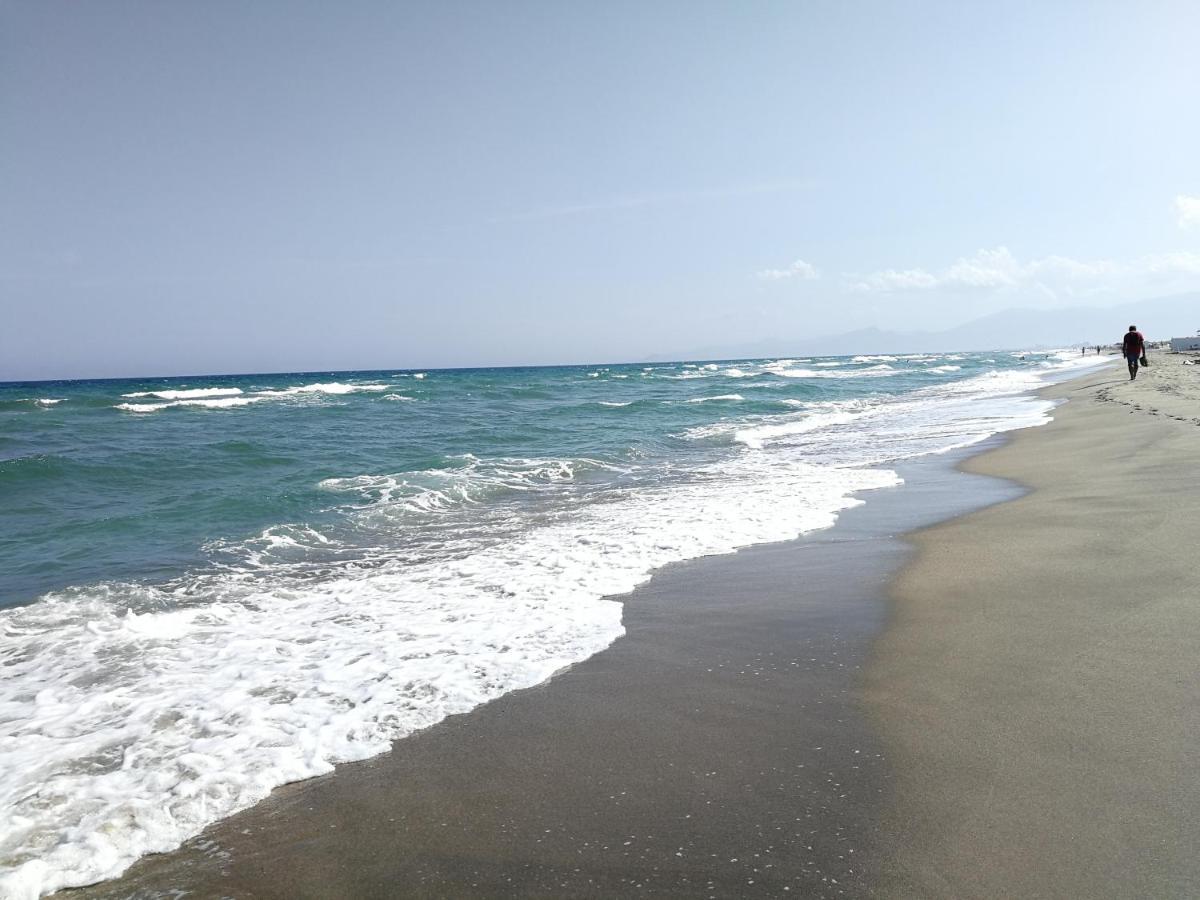 Agreable Studio 50M De La Plage Canet-en-Roussillon Dış mekan fotoğraf